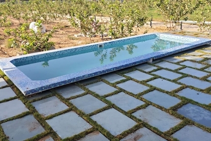 Picture of Swimming Pool